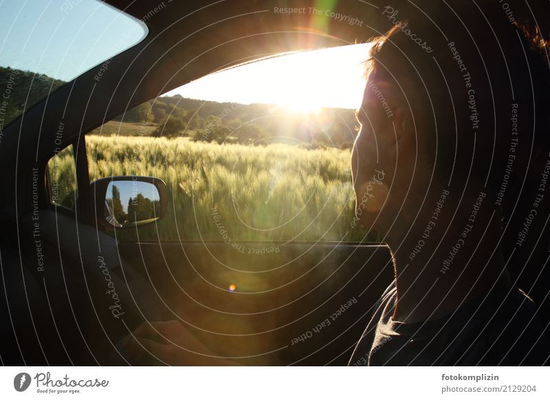 Young passenger looks out the window into the sunlight during a car ride Young man Youth (Young adults) Sunlight Summer Motoring Driving Vacation & Travel