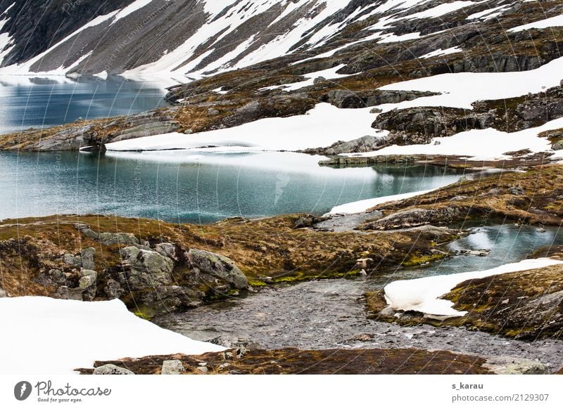 Norwegian Glacier Landscape Vacation & Travel Adventure Mountain Hiking Nature Rock Snowcapped peak Cold National Park Nature reserve Norway Europe Scandinavia