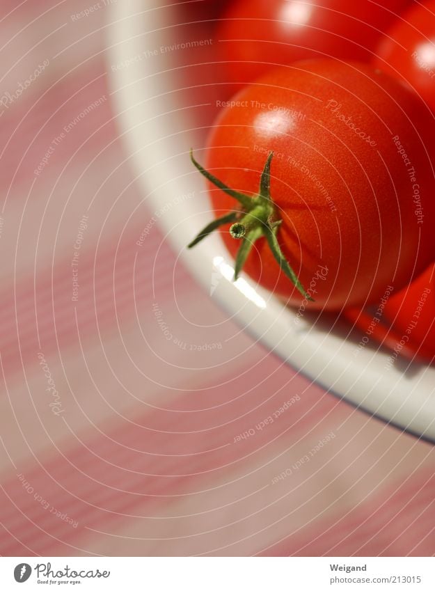 The red side of life Food Vegetable Nutrition Organic produce Vegetarian diet Red Delicious Tomato country lust Fresh Healthy Colour photo Exterior shot