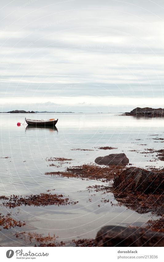 Norway Nature Landscape Water Clouds Summer Coast Bay Fjord Relaxation Vacation & Travel Colour photo Subdued colour Exterior shot Deserted Copy Space top Day