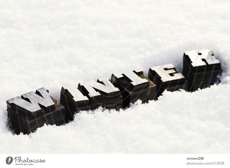 W.I.N.T.E.R. Winter Snow Snow layer Letters (alphabet) Seasons Cold December White Weather Frost Colour photo Subdued colour Exterior shot Close-up Detail