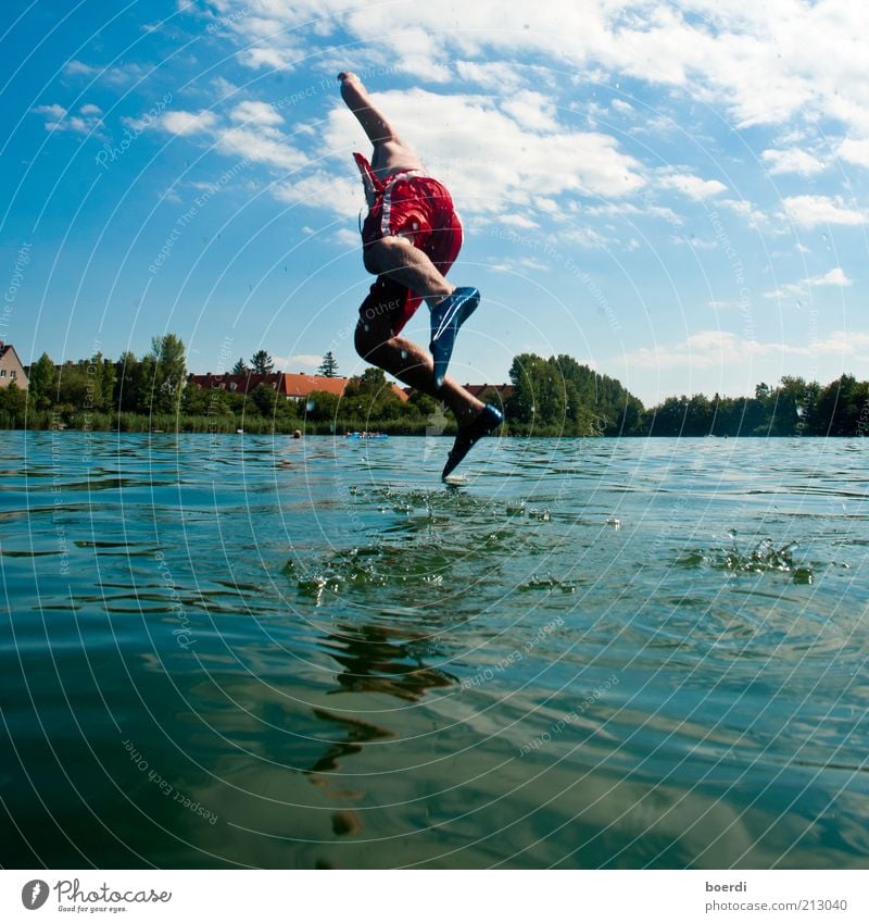 sandpiper Joy Leisure and hobbies Summer Lake Pond Masculine Man Adults Life 1 Human being Nature Water Flying Walking Jump Exceptional Wet Blue Resolve