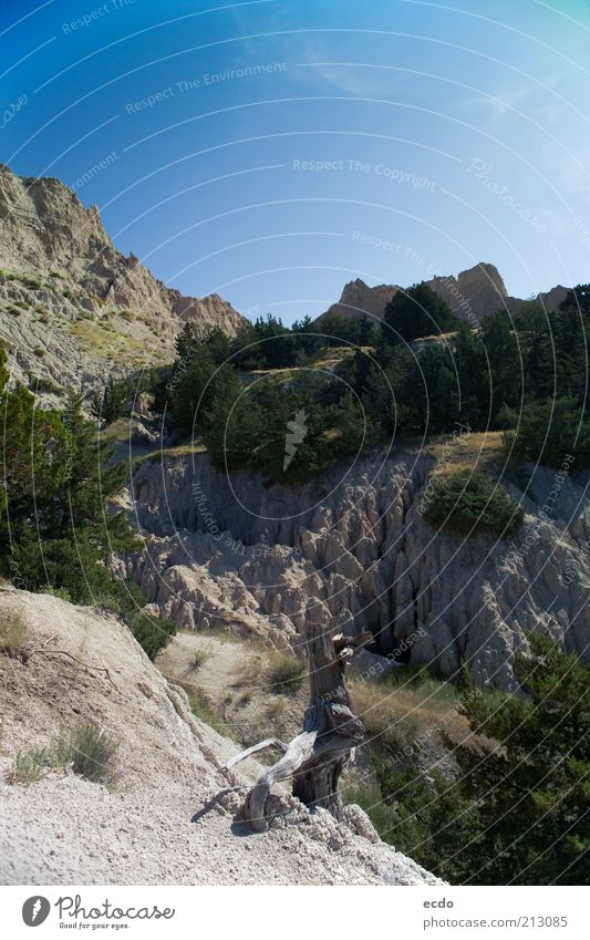 Badlandsnationalpark Environment Nature Landscape Air Sunlight Summer Beautiful weather Warmth Tree Rock Mountain Tall Dry Blue Gray Green Tree stump