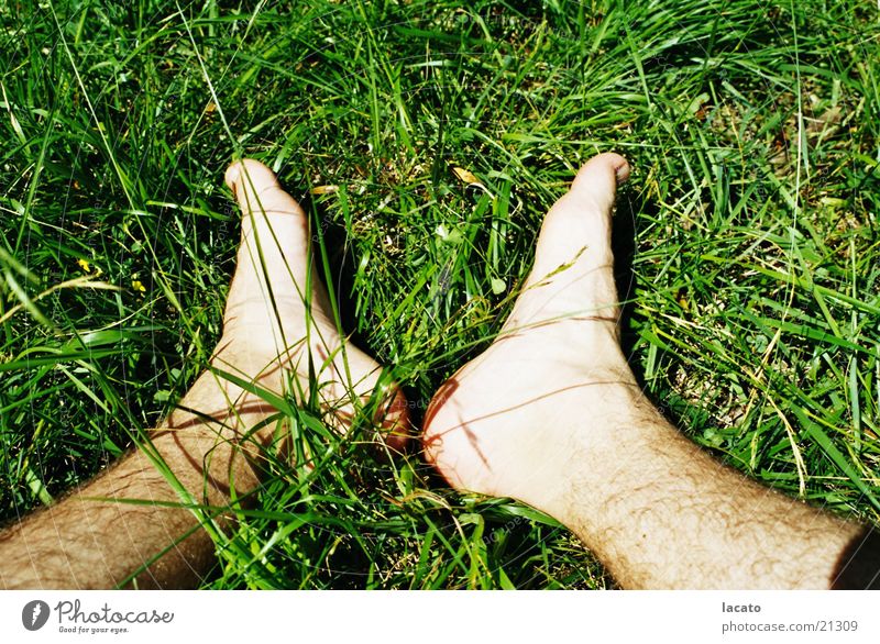 Feet in the grass Grass Green Blade of grass Nature Relaxation Skin Sit