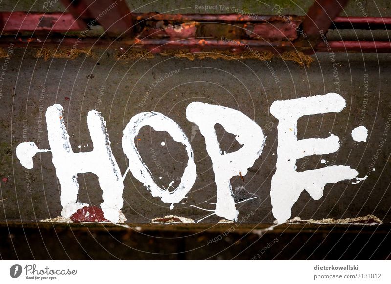 hope Life Art Environment Nature Landscape Town Wall (barrier) Wall (building) Sign Characters Graffiti Positive Hope Street art Colour photo Exterior shot