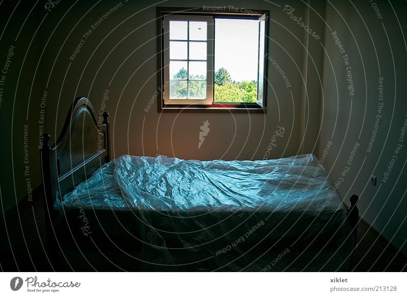 room Bed Bedroom Home Window Plastic empty Uninhabited New Freedom Peace quiet countryside Village Sleep Rest dropping light Dark privacy Blue Day debut