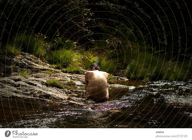 to think River Water Man Sit Think Reflection ponder quiet Nature Green Lake Forest Mountain Tree Swimming & Bathing Refreshment Summer Heat holiday depression