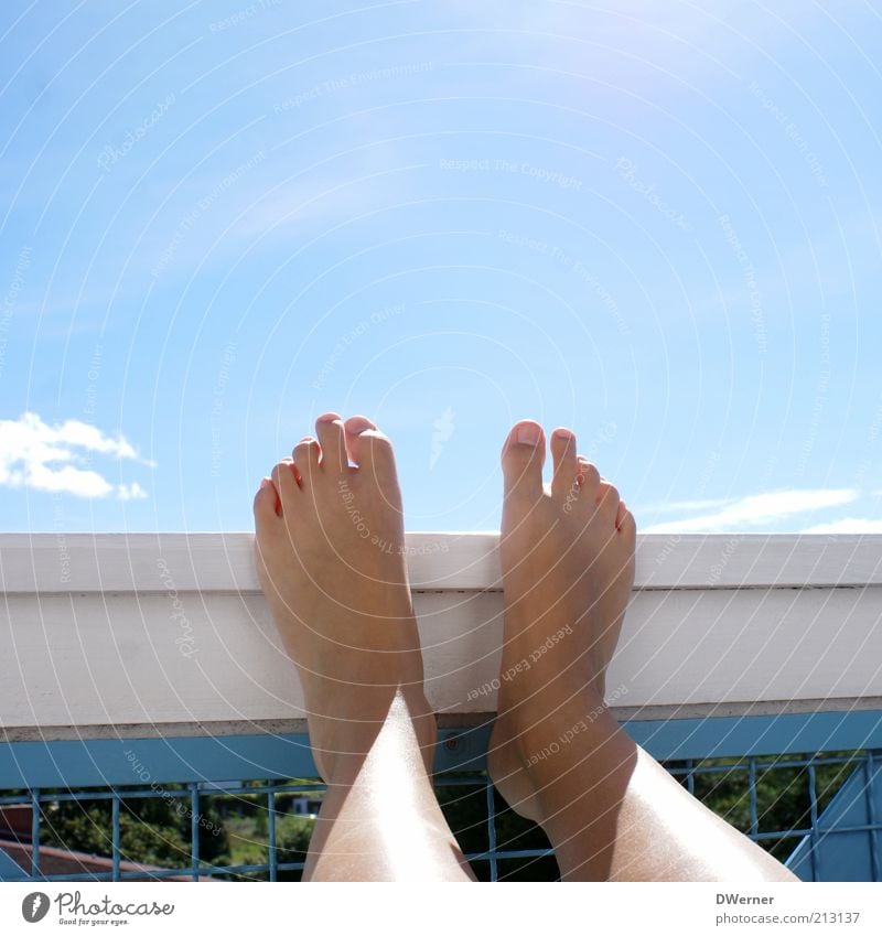 The most beautiful feet in the world! Lifestyle Joy Beautiful Pedicure Vacation & Travel Sun Sunbathing Young woman Youth (Young adults) Legs Feet Nature Sky