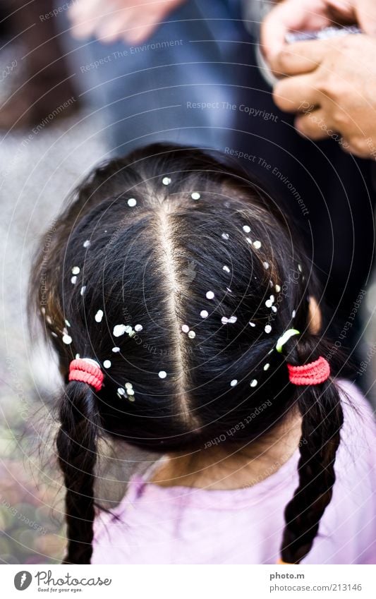 Carnival! Child Toddler Girl Hair and hairstyles 3 - 8 years Infancy Sympathy Braids Confetti Colour photo Exterior shot Copy Space top Day