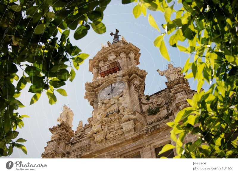 valencia morning 03 Lifestyle Style Vacation & Travel Tourism Trip Freedom Sightseeing City trip Summer Plant Leaf Old town Manmade structures Building