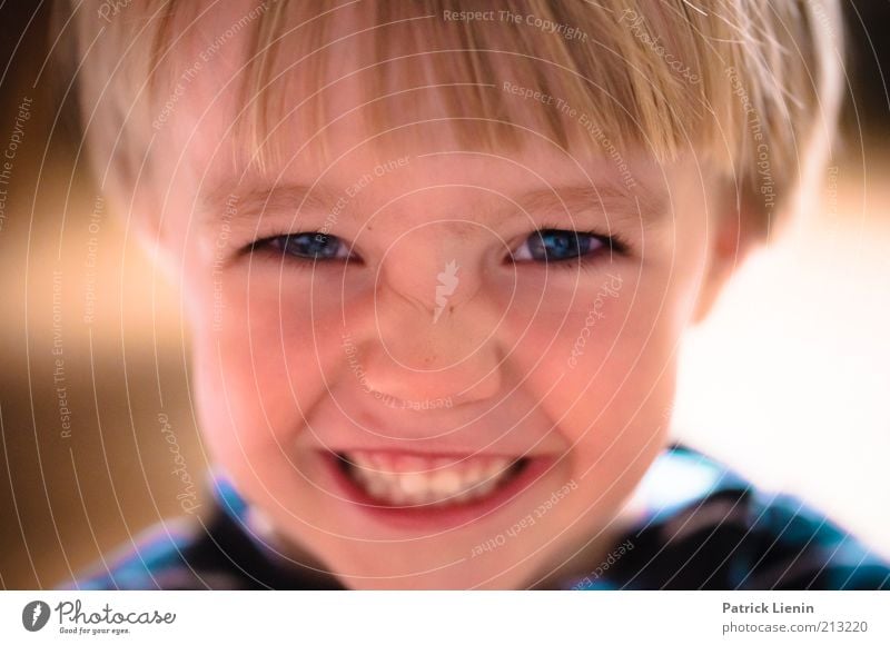 stinker Human being Masculine Child Toddler Infancy Head Face 1 3 - 8 years Looking Happy Beautiful Emotions Moody Joy Happiness Contentment Laughter Brilliant