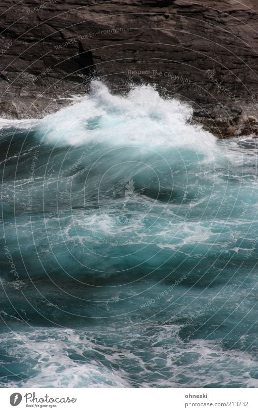 Moving sea Nature Elements Water Rock Waves Coast Bay Ocean Pacific Ocean Wild Power Life Energy Surf Colour photo Exterior shot Deserted Swell White crest