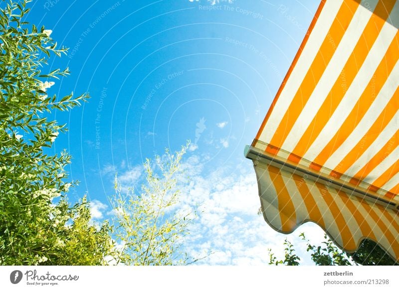 wedding Garden Hot June Sun blind Blue sky Stripe Summer Clouds Colour photo Exterior shot Deserted Copy Space top Copy Space middle Morning Wide angle Sunlight