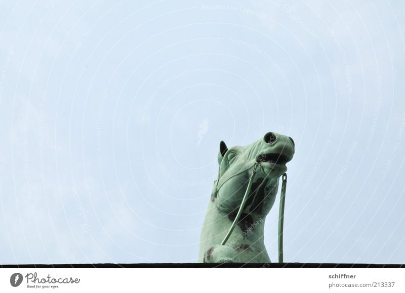 Edge of plate looker III Tourist Attraction Landmark Monument Animal Horse Esthetic Individual Horse's head Curiosity Brandenburg Gate Sky Tall Quadriga Detail