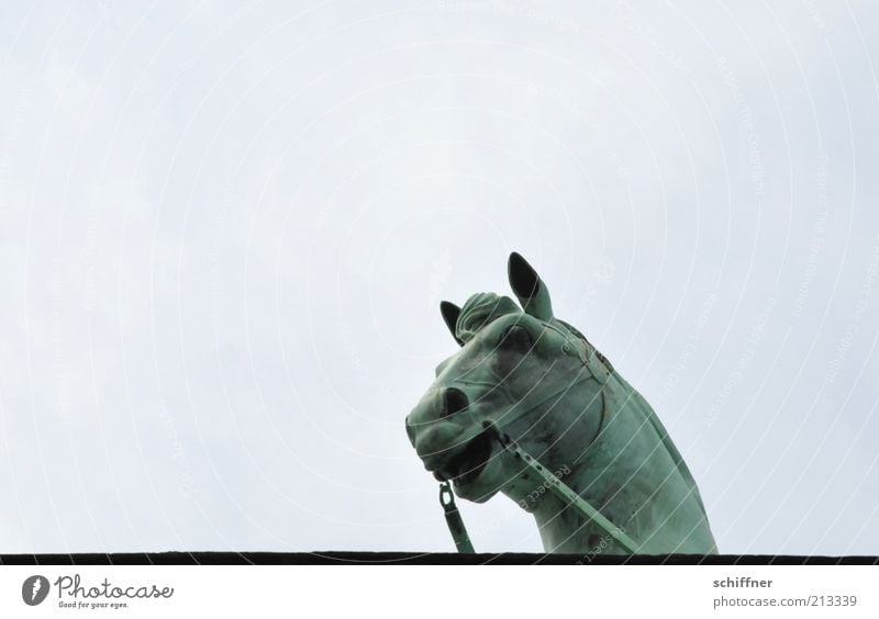 Edge of plate peepers I Tourist Attraction Landmark Brandenburg Gate Animal Horse Esthetic Individual Horse's head Curiosity Sky Tall Monument Quadriga Detail