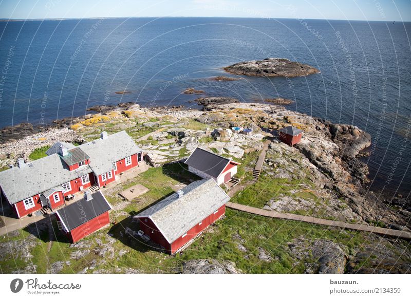 red cabbages. Living or residing House (Residential Structure) Environment Nature Landscape Earth Sky Climate Weather Beautiful weather Grass Rock Coast Ocean