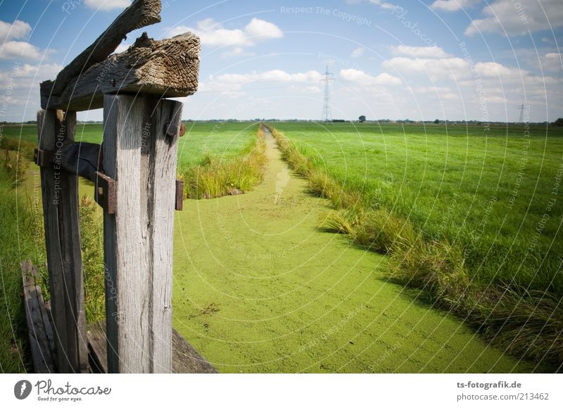 green highway Environment Nature Landscape Plant Elements Air Water Sky Clouds Horizon Beautiful weather Grass Foliage plant Aquatic plant Algae Meadow Field