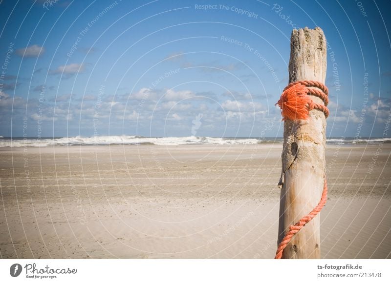 Dutch Day on Norderney II Vacation & Travel Summer Summer vacation Sun Beach Ocean Waves Environment Nature Sand Water Sky Clouds Beautiful weather Coast