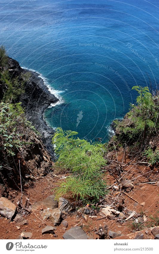 On the Abyss Vacation & Travel Freedom Landscape Elements Earth Water Beautiful weather Bushes Hill Rock Coast Bay Ocean Pacific Ocean Stone Sand Blue