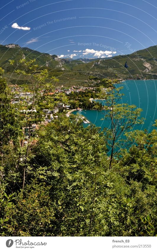 tree, lake, mountain, small town... Vacation & Travel Trip Mountain Environment Landscape Water Sky Summer Beautiful weather Plant Tree Coast Riva del Garda