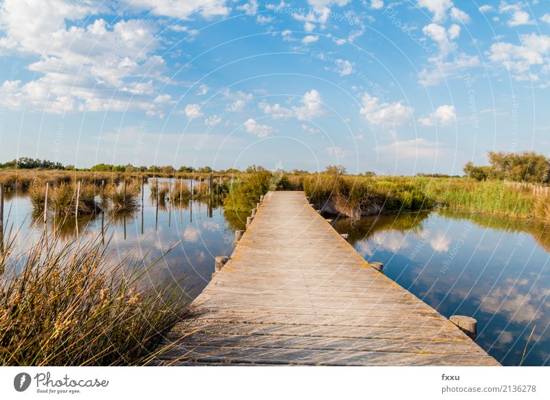 Wooden footbridge in the Camargue Nature Landscape Water Bog Marsh Saintes Maries de la Mer Arles France Europe Bridge Footbridge Observe To enjoy Hiking