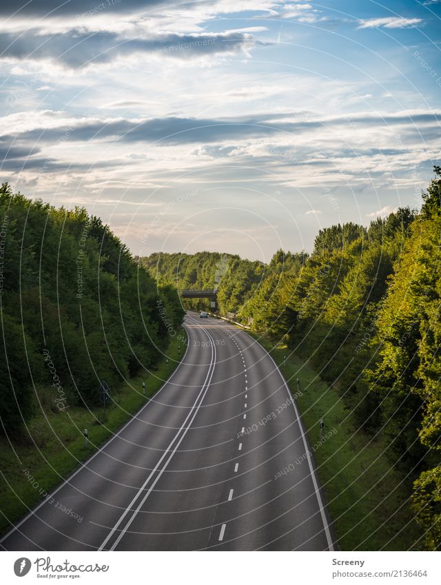 Quiescent traffic Tourism Trip Far-off places Freedom Landscape Plant Sky Clouds Summer Beautiful weather Tree Grass Bushes Traffic infrastructure Motoring