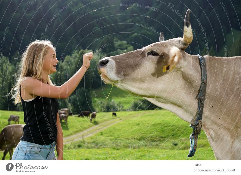 Cowgirl Matilda 2 Agriculture Forestry Child Girl Infancy Youth (Young adults) 1 Human being 8 - 13 years Environment Nature Landscape Alps Blonde Animal Pet