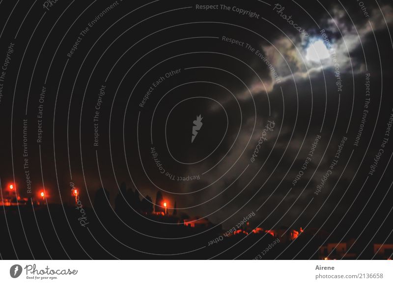 moonlit Clouds Night sky Moon Full  moon Madeira Village House (Residential Structure) Street lighting Red light Illuminate Threat Dark Creepy Black Romance