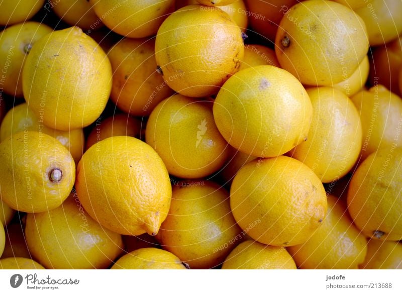 lemons Food Fruit Yellow Exotic Many Multiple Lemon Colour photo Multicoloured Exterior shot Deserted Day Light Shallow depth of field Bird's-eye view Sour