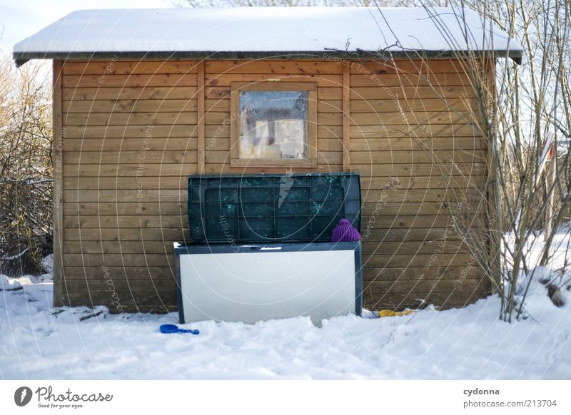 The perfect* hiding place Environment Nature Winter Snow Garden Hut Cold Infancy Creativity Hiding place Cap Crate Colour photo Exterior shot Detail Deserted