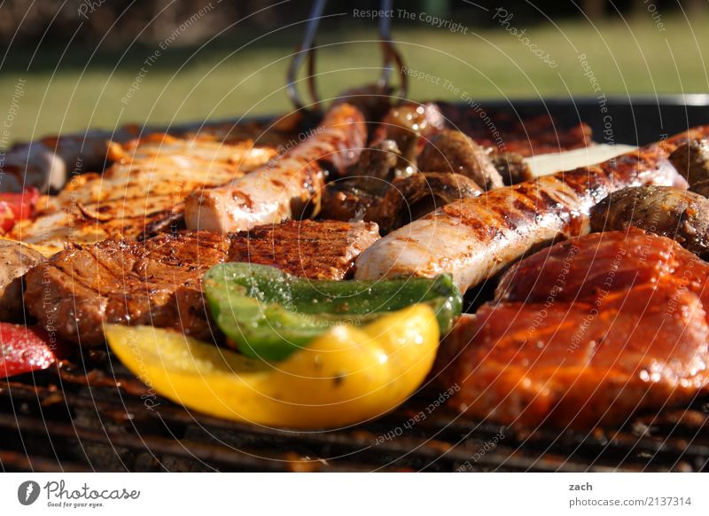 Summer - Final spurt Food Meat Herbs and spices Pork Beef Steak Escalope Nutrition Vegetable Pepper Sausage Bratwurst Dinner Barbecue (event) BBQ Grill