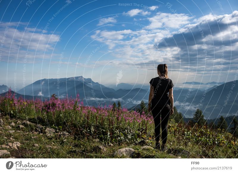 Just switch off... Style Hiking Feminine Young woman Youth (Young adults) Environment Nature Landscape Clouds Sun Sunlight Summer Beautiful weather Plant Flower