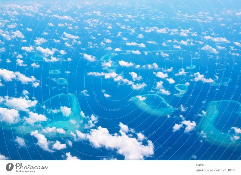 sky-high exulting Island Environment Nature Landscape Earth Air Sky Clouds Climate Illuminate Free Infinity Blue Ease Ozone layer Atmosphere Hover Maldives