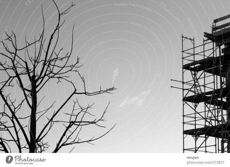 Antithetic Construction site House building Nature Plant Air Sky Autumn Climate change Drought Tree Outskirts House (Residential Structure) High-rise