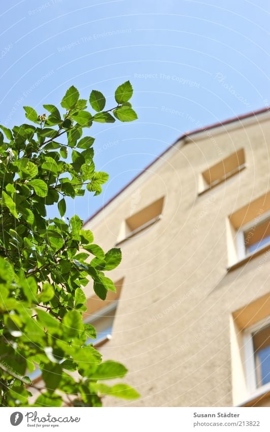 3RD FLOOR House (Residential Structure) Wall (barrier) Wall (building) Facade Window Tall House location House hunting Attic story Gable Blue sky Cloudless sky