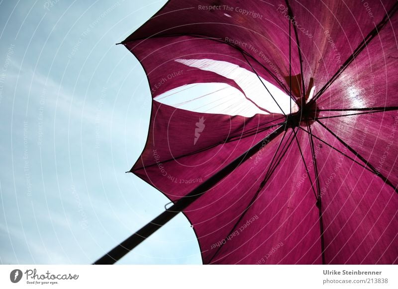 Old purple umbrella with big crack Umbrellas & Shades flimsy Broken Hollow Violet Sunshade porous Cloth Framework Metal Old fashioned Vista Crack & Rip & Tear