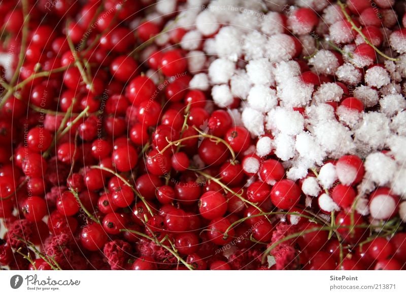 Semifredded Food Fruit Summer Snow Freeze Round Juicy Sour Sweet Red White Cold Redcurrant Ice Raspberry Frozen Chilled Berries Delicious Healthy Vitamin