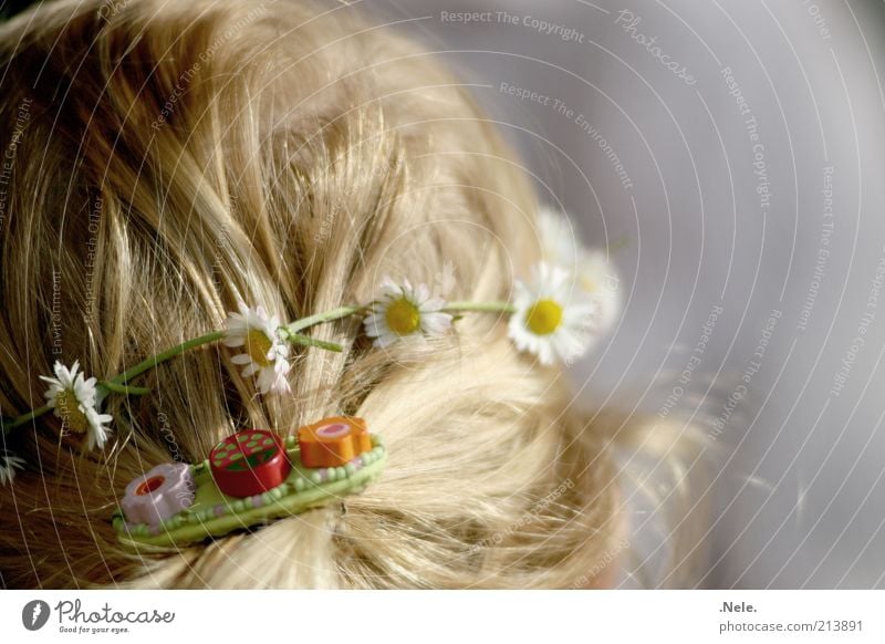 Flower child. Human being Feminine Child Toddler Girl Infancy Head Hair and hairstyles 1 1 - 3 years Accessory Jewellery Blonde Long-haired Braids Hair barrette