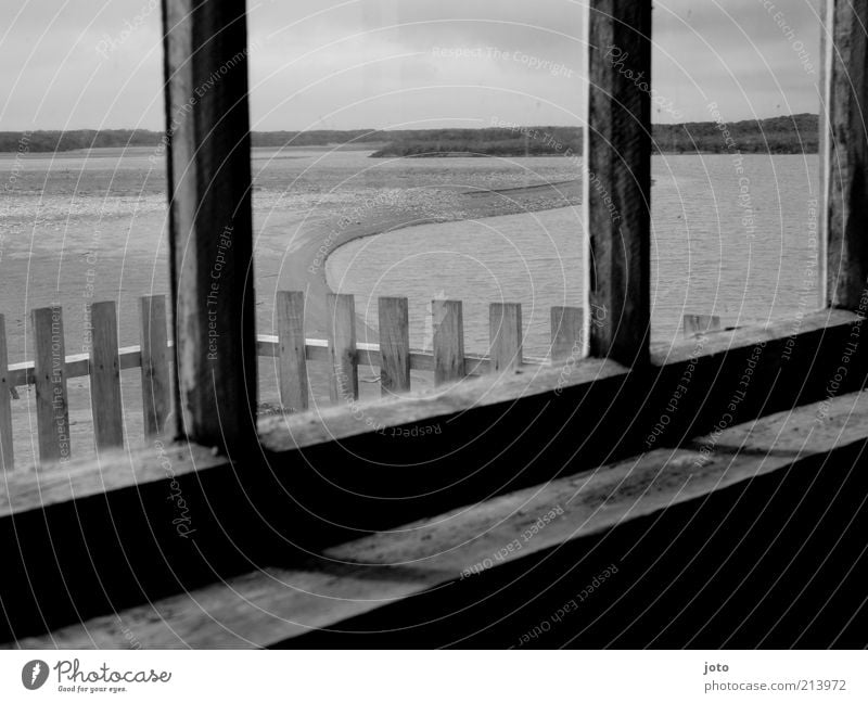 house on the lake Lakeside River bank Beach Pond Window Old Fence Horizon Sadness Grief Observe Loneliness New Zealand Window pane Shadow Landscape Ghost town