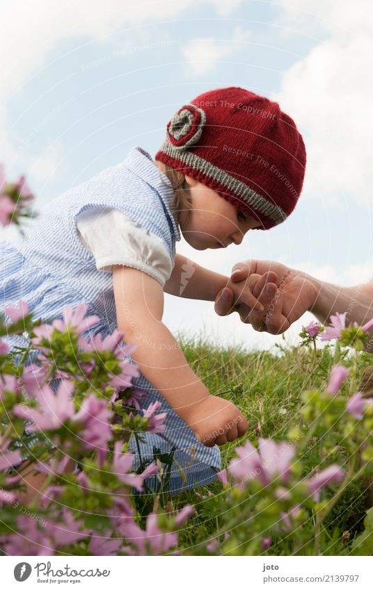 a little flower Trip Summer Summer vacation Parenting Education Study Child Toddler Girl Family & Relations Infancy Hand 1 - 3 years Nature Flower Blossom