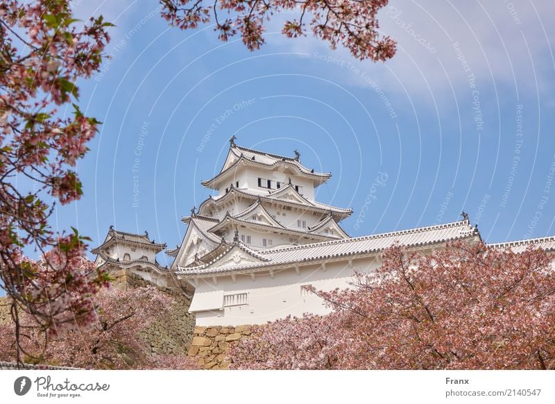 Himeji Castle - Japan Palace Manmade structures Building Architecture Garden Tourist Attraction Landmark Elegant Cherry blossom Feeling Japanese garden