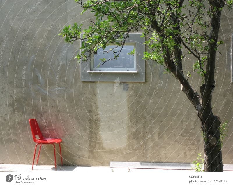 solitary chair Spring Summer Tree Wall (barrier) Wall (building) Facade Terrace Window Design Relaxation Calm Colour photo Exterior shot Morning Concrete wall