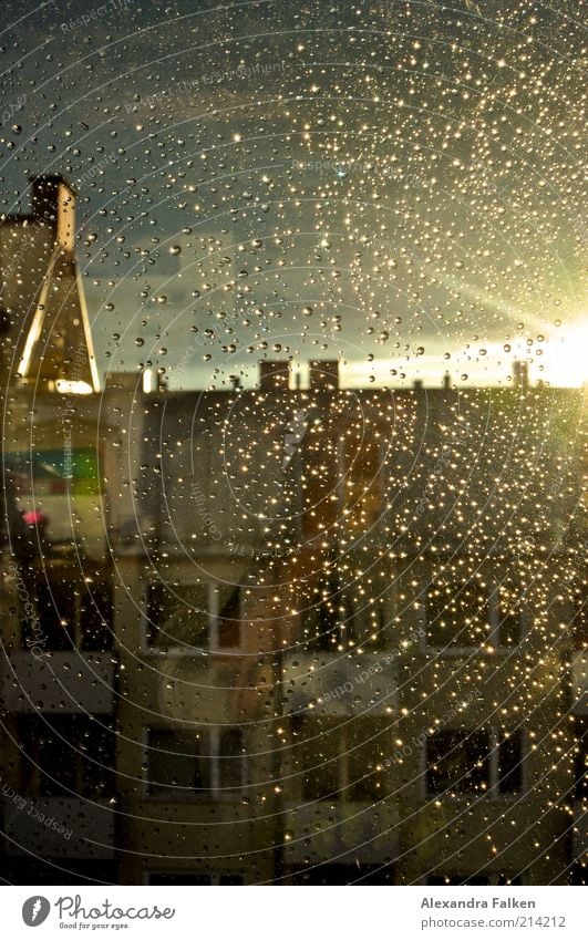 after the rain. House (Residential Structure) Manmade structures Building Apartment house Roof Chimney Gable Wet Rain Window pane Back-light Colour photo