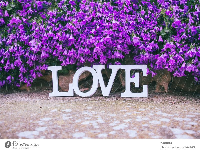 Word LOVE and a lot of purple flowers Feasts & Celebrations Valentine's Day Mother's Day Wedding Nature Spring Summer Flower Foliage plant Decoration Stone Sign