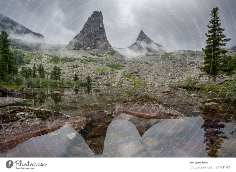 Foggy Parabola Nature Landscape Summer Rain Thunder and lightning Hill Rock Alps Mountain Peak Purity Tree parabola Reflection Moody Mood lighting Forest Bushes