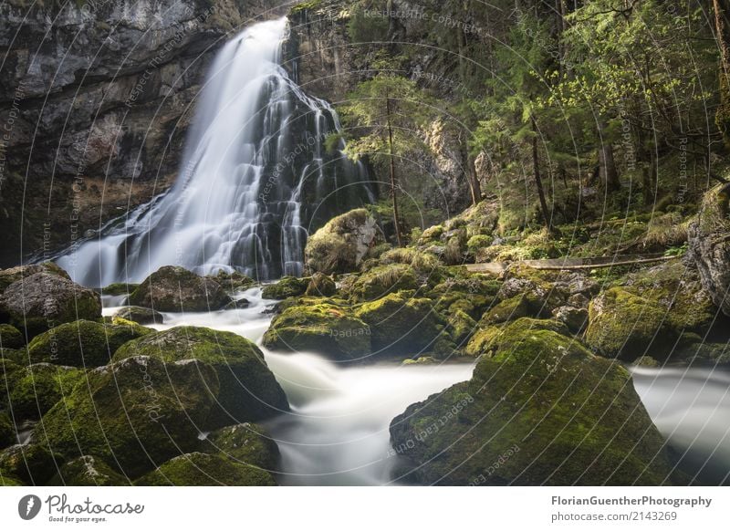 Gollinger Waterfall Environment Nature Landscape Earth Spring Summer Beautiful weather Plant Alps River bank Golling on the river Salzach Austria Europe