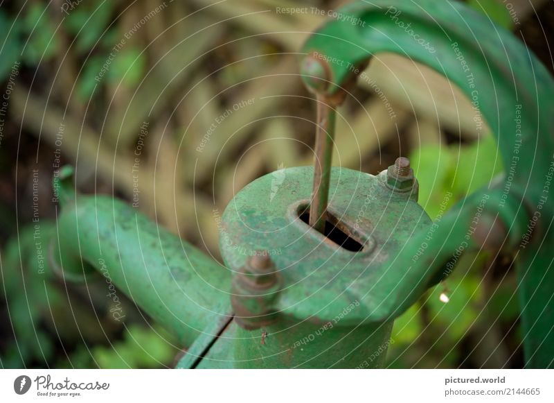 The last drop has fallen Nature Plant Water Summer Climate change Bushes Leaf Wild plant Forest Overpopulated Deserted Fence Garden fence Wood Metal Old Broken