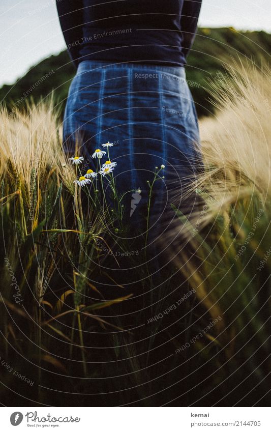 A skirt in the field Lifestyle Style Harmonious Well-being Contentment Senses Relaxation Calm Leisure and hobbies Trip Freedom Human being Feminine Woman Adults