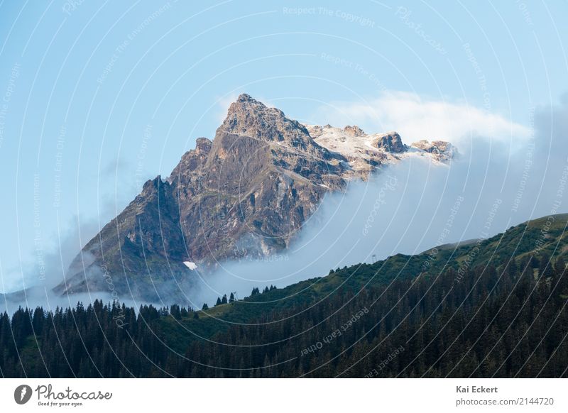 morning snow Nature Beautiful weather Fog Tree Mountain Peak Esthetic Sharp-edged Far-off places Gigantic Natural Blue Green Optimism Brave Unwavering Adventure