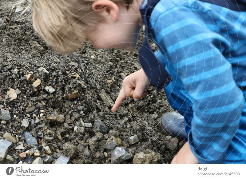 little boy points to the path where he has discovered something Human being Masculine Toddler Infancy 1 3 - 8 years Child Environment Nature Field T-shirt